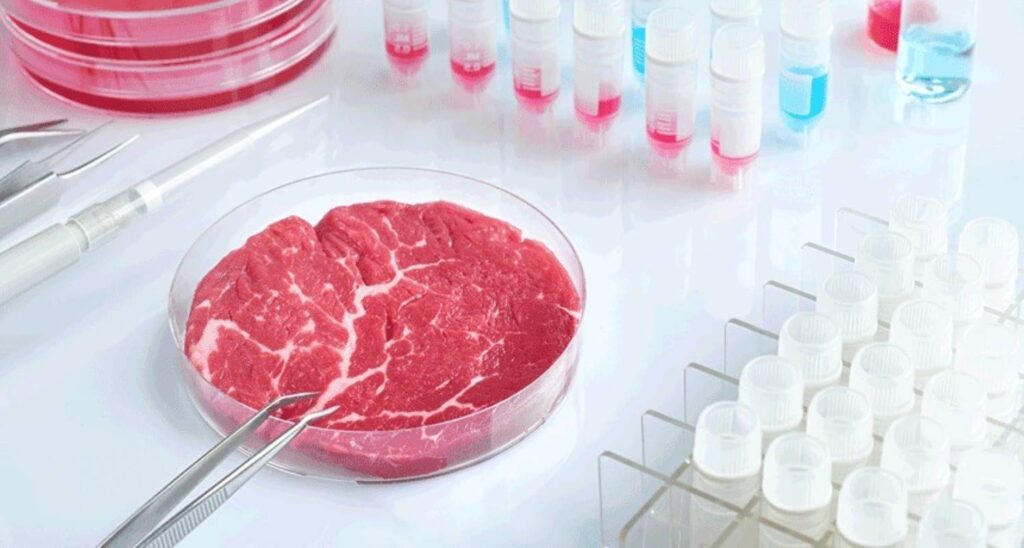 Depiction of meat cultivation activities