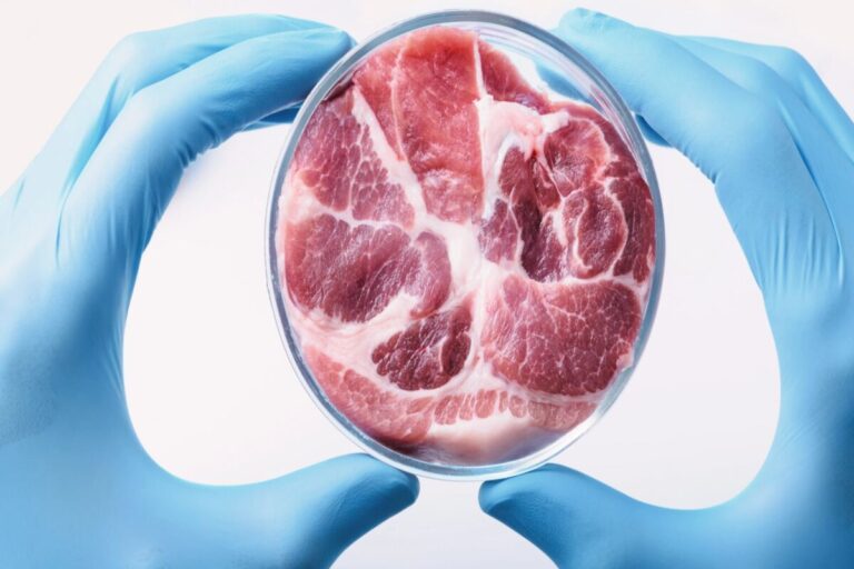 Meat tissues in a petri dish