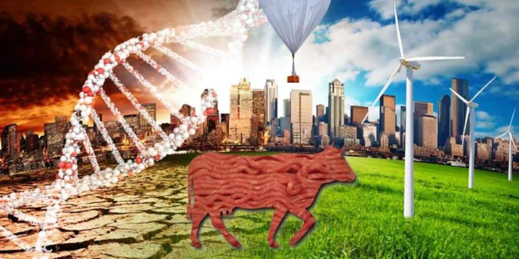 Cultured meat could impact the environment and consumers’ wellbeing
