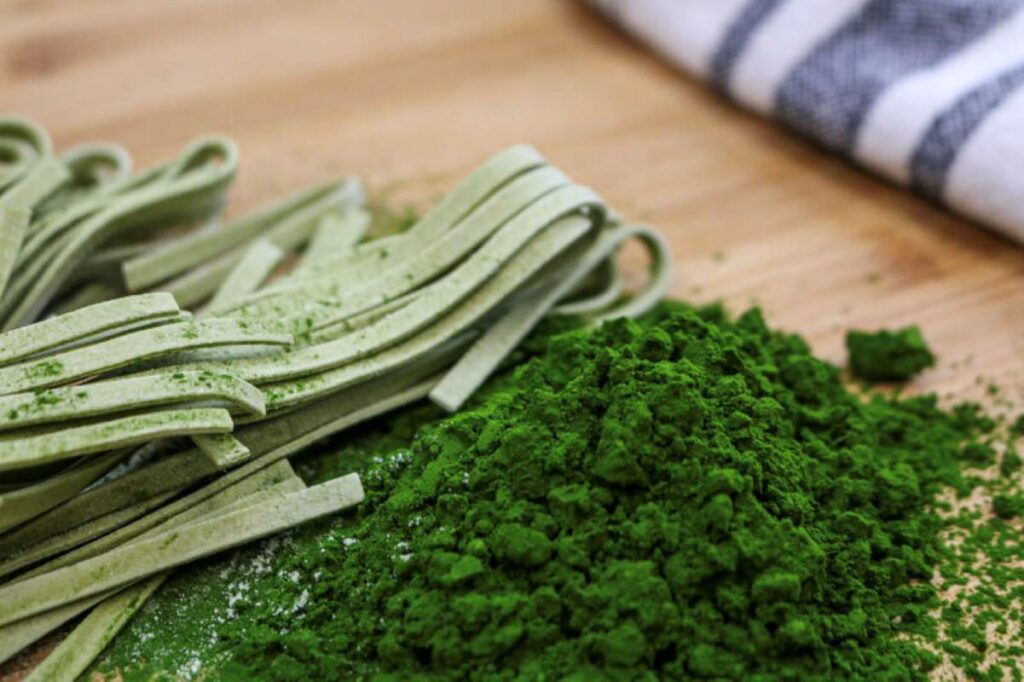 Using algae as a protein source could be the future of food in 2025