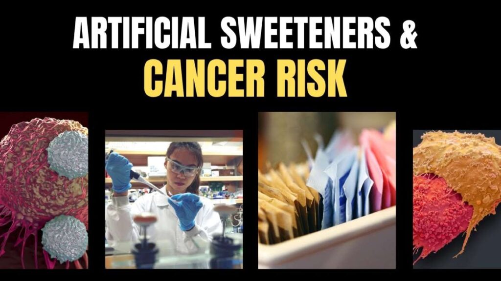 What regulatory bodies have to say about artificial sweeteners and cancer