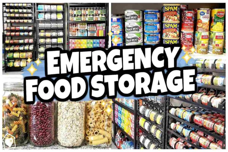 Top Items to Include in Your Emergency Food Stockpile: The Ultimate Survival Checklist