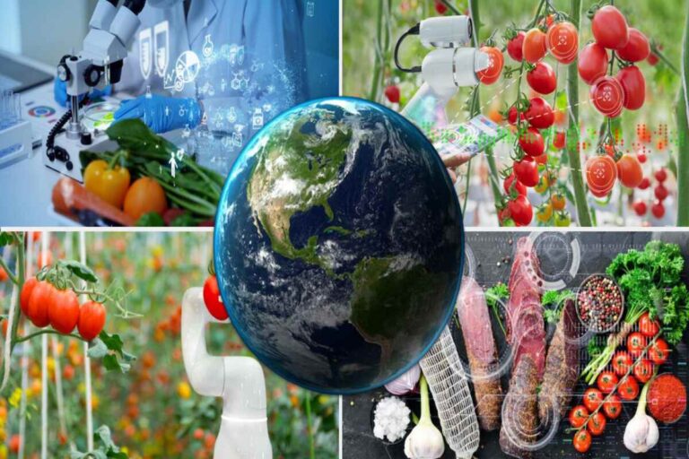 The Future of Food: What Will We Be Eating in 2050?