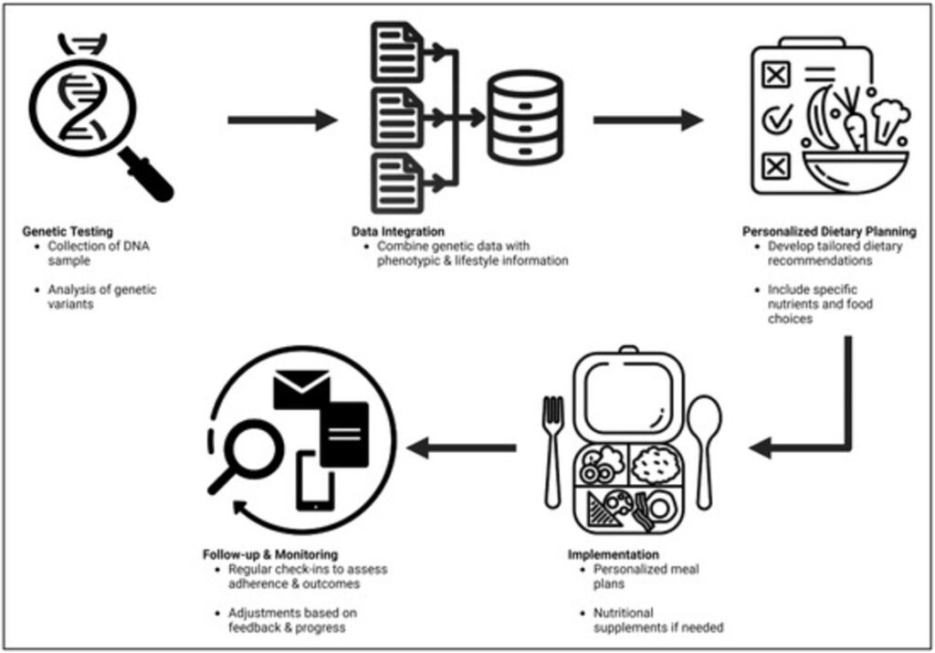 Workflow of a Personalized Nutrition Program