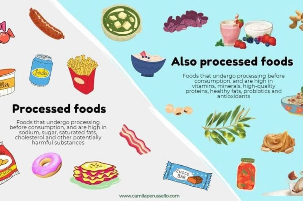 An infographic of various types of processed foods