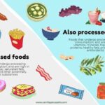 An infographic of various types of processed foods