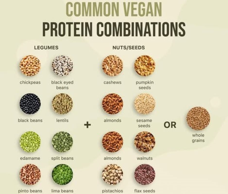 Chart showing the best combination of plants as protein sources