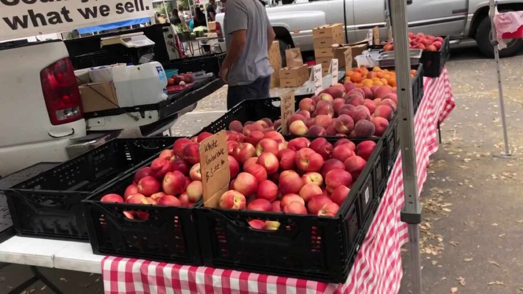 Picture of apples at a stall in a farmers market