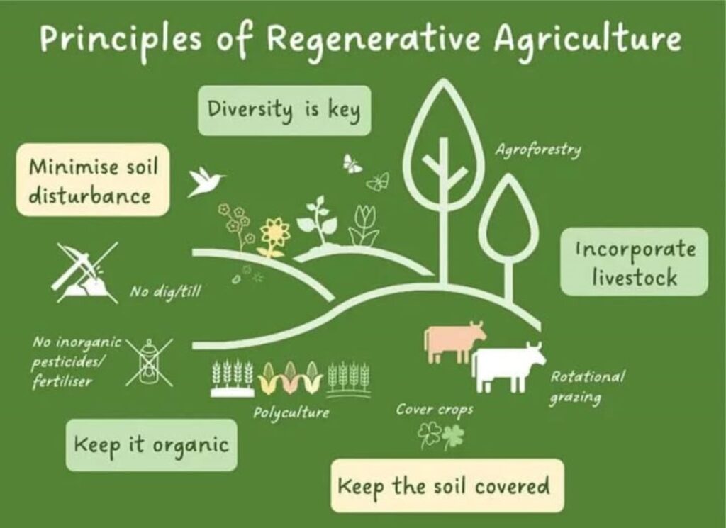 An Infographic On Regenerative Farming