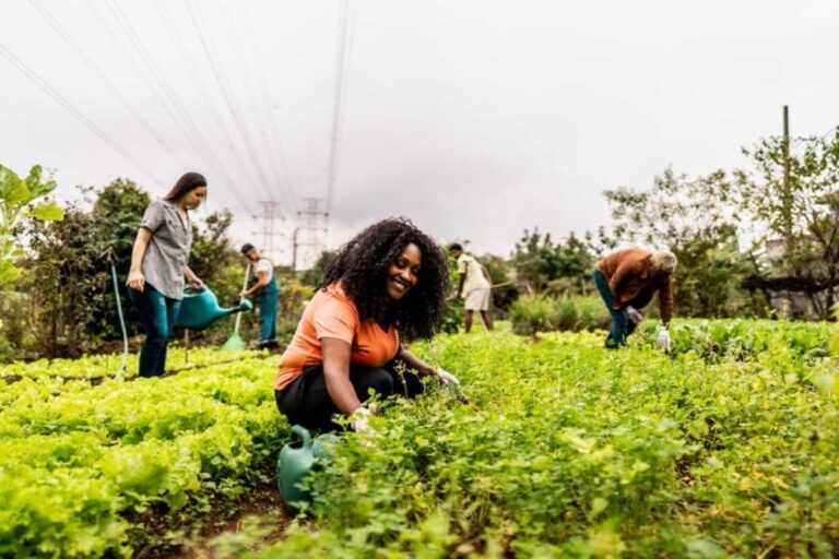 Manual labor on a small farmland