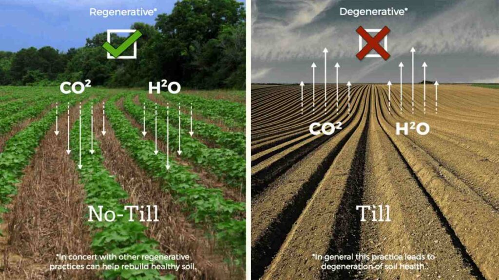 Conventional Agriculture & Regenerative Agriculture