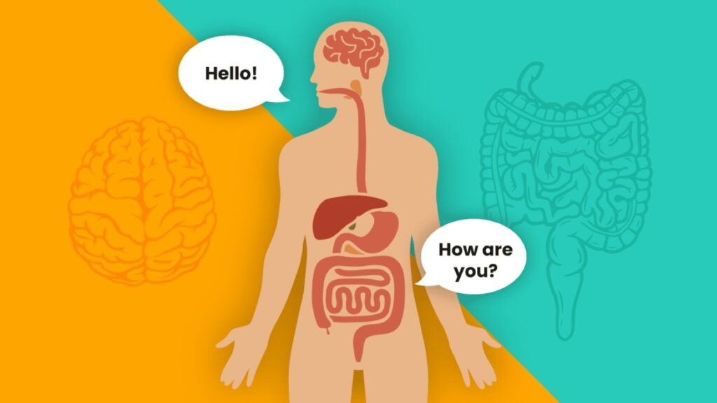 Intriguing Link Between Your Brain and Gut