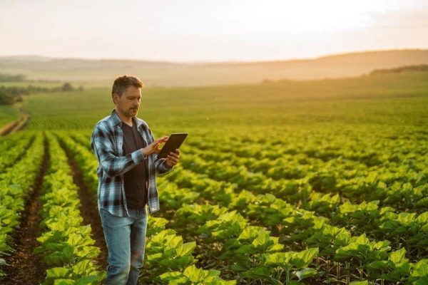 From Farm to Fork: How AI Is Revolutionizing the Food Supply Chain A farmer deploying technology to make the most of his harvest