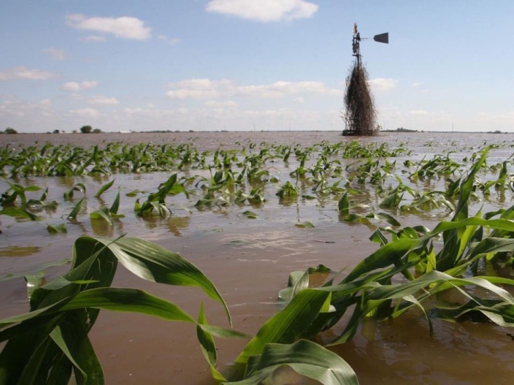 Effects of climate change on crop production in Nigeria
