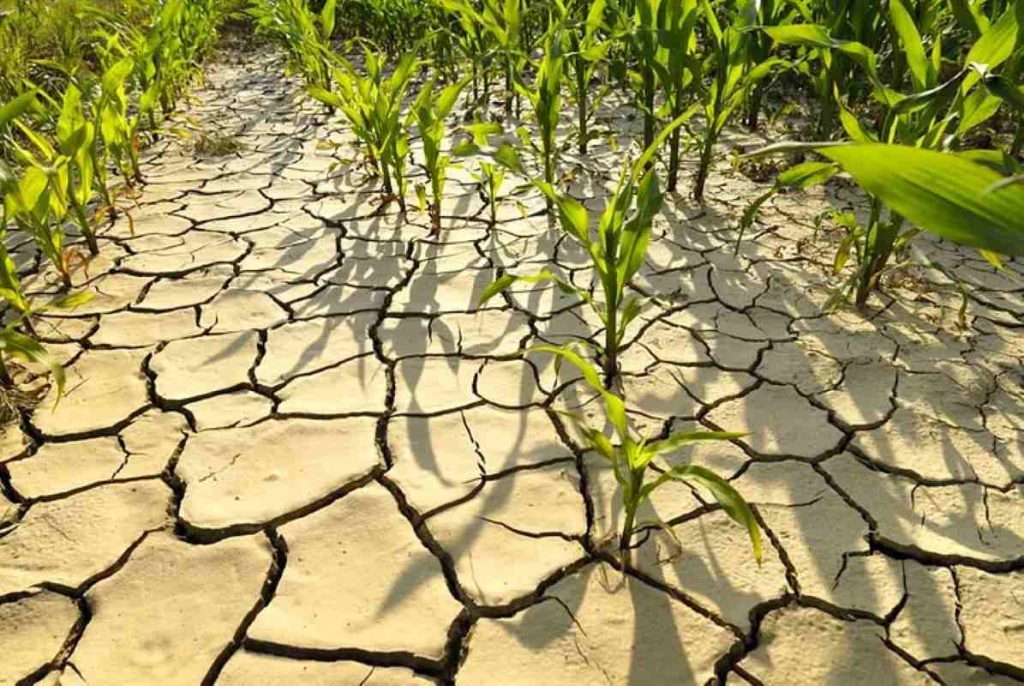Climate change crop nutrition and dietary health