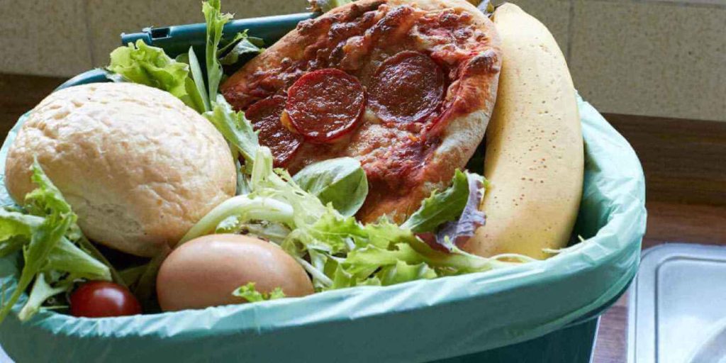 Statistics have it that 40% of food in the US ends up in the trash