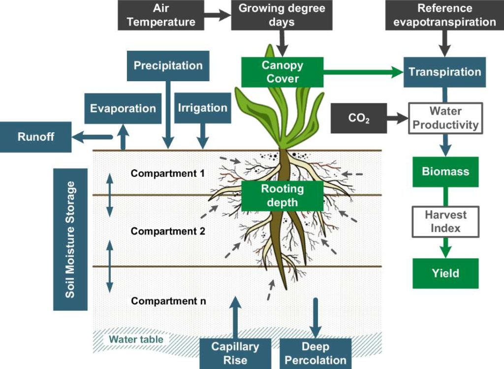 Green boxes indicate crop growth, blue boxes water cycle, and grey boxes climatic inputs
