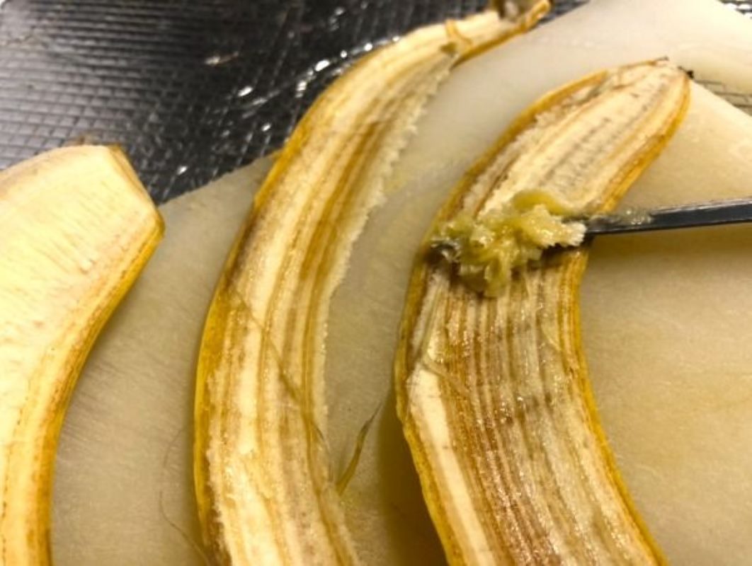 Don’t throw out that banana peel