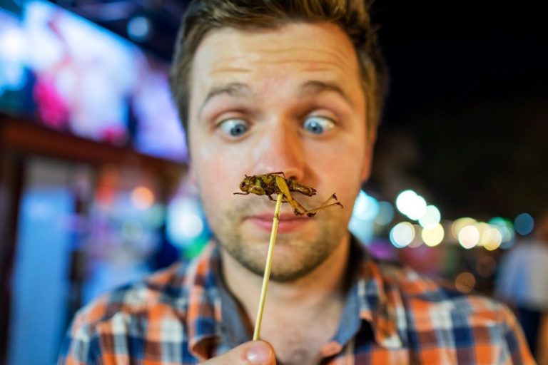 Edible Insects: The Sustainable Protein Source That’s Hard to Swallow
