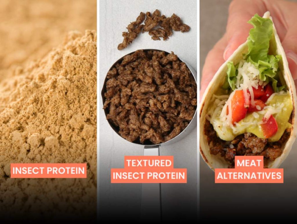 Insect-based proteins are transforming the food industry