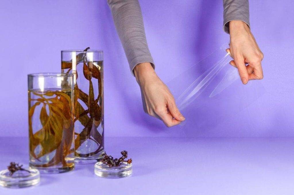 Nine Ways To Ditch The Single-Use Plastic