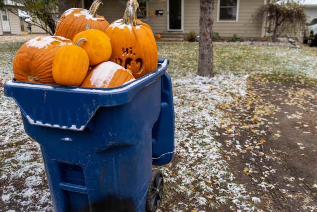 The image shows several pumpkins, including one carved with the word "Hi," in a blue trash can on a snow-covered lawn