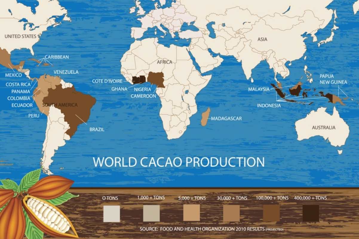 The map of cocoa bean production in the world