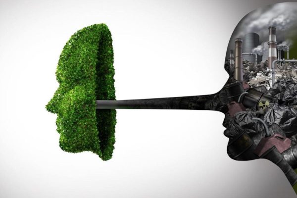 How to tell if your groceries are indeed eco-friendly