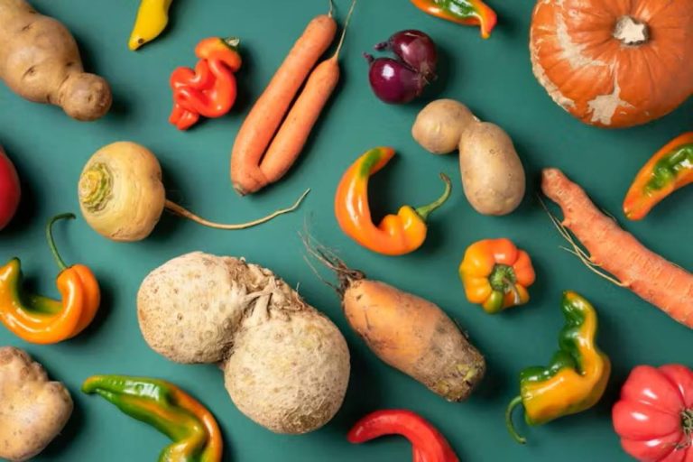 Trendy ugly organic vegetables assortment of fresh eggplant onion carrot zucchini potatoes pumpkin