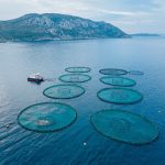 Aquaculture now supplies over half of global seafood — but sustainable growth depends on a healthy, transparent ocean.