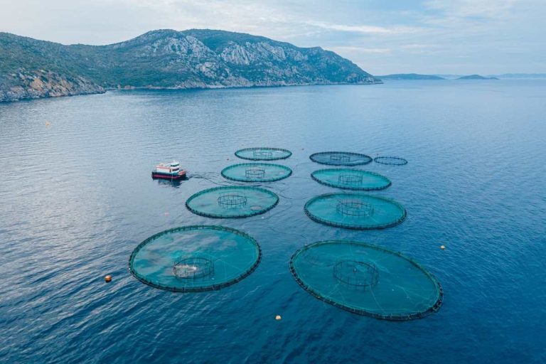 Regenerative Aquaculture: Can Fish Farming Heal the Oceans?