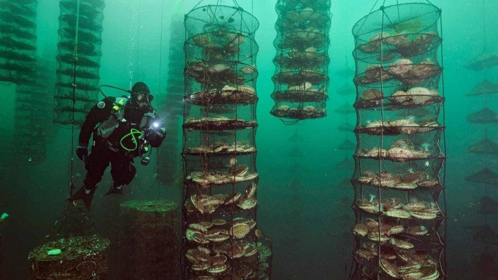 How Research and Development Are Driving Greener Production