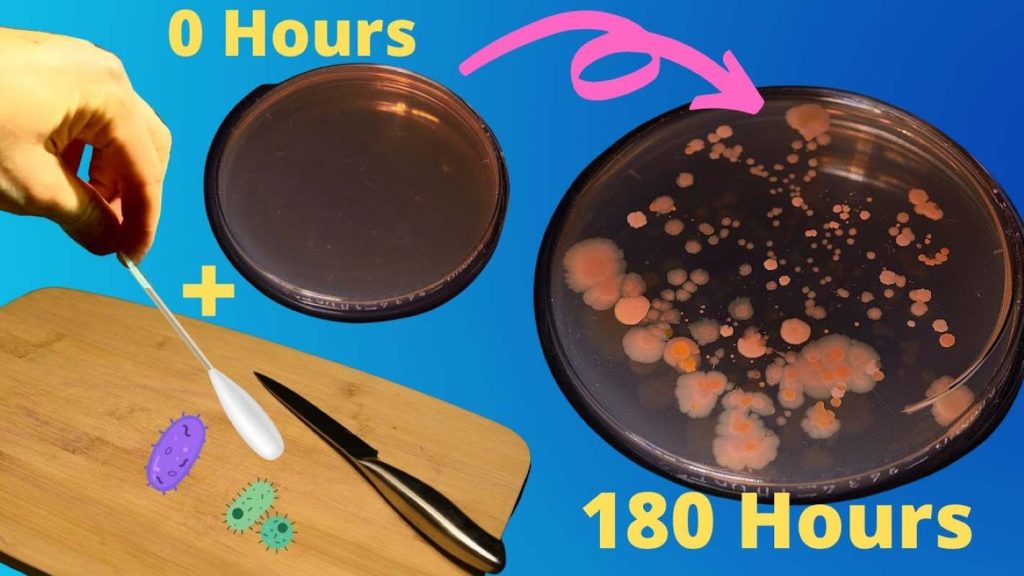 Poster for an explainer video on how to clean your Cutting Board