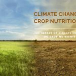 Climate Change and Crop Nutrition