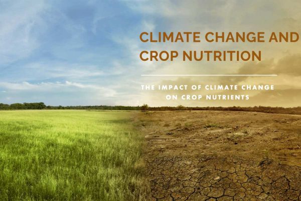 Climate Change and Crop Nutrition