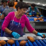Food processing industry in El Salvador