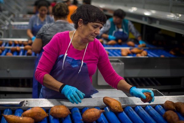 Food processing industry in El Salvador
