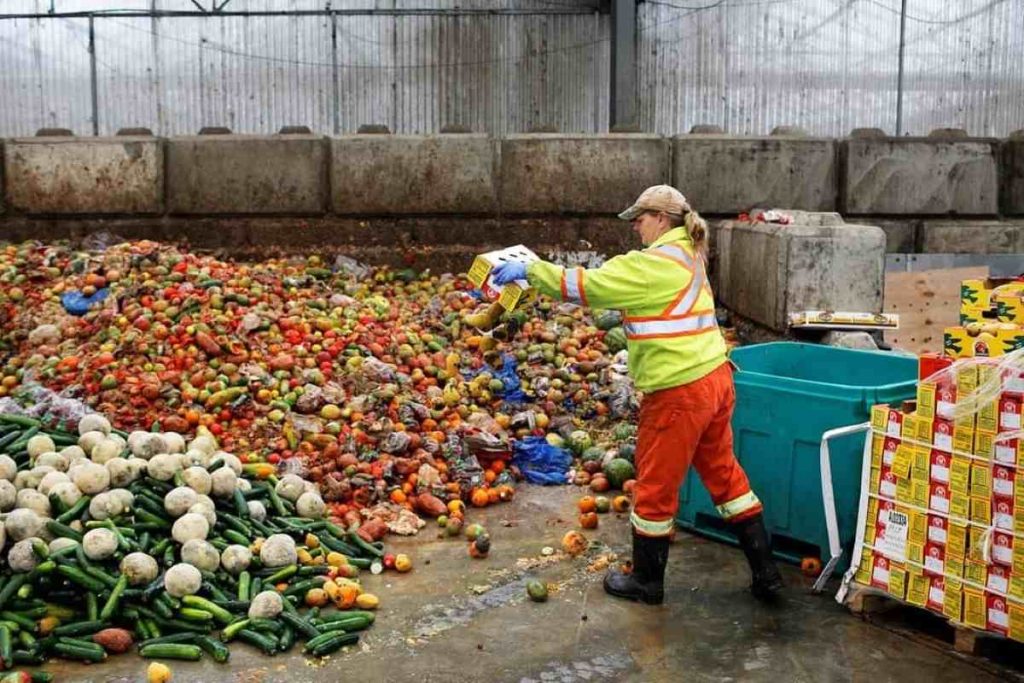 Fruits and vegetables being discarded
