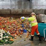 Fruits and vegetables being discarded